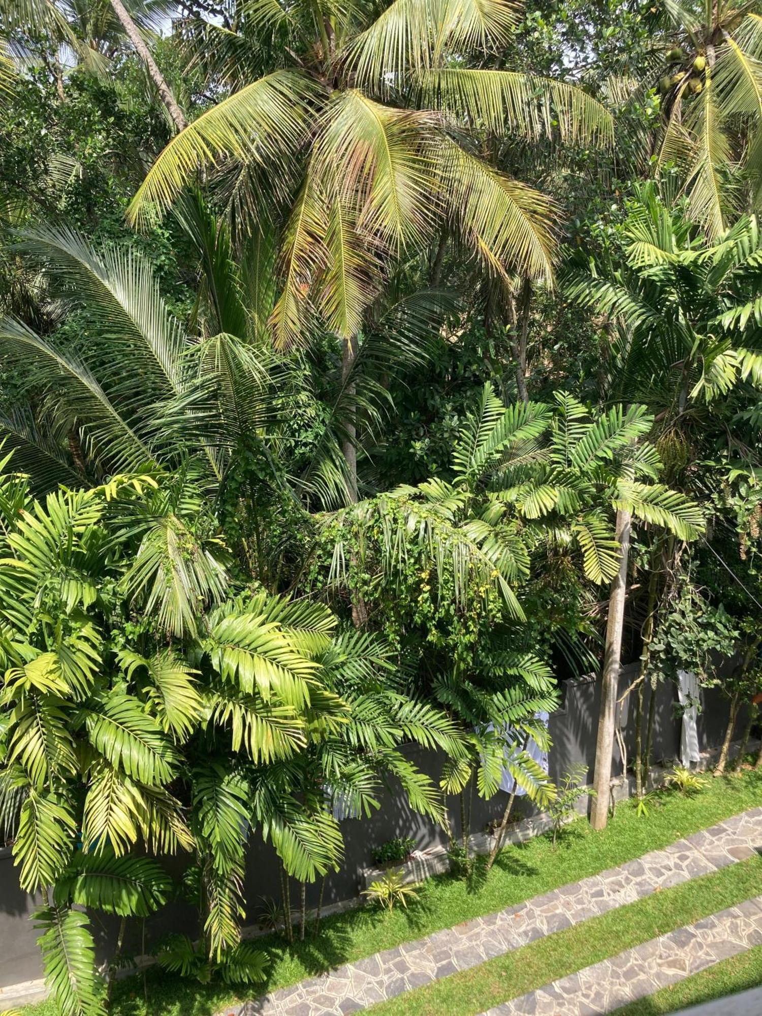 Navora Hotel Hikkaduwa Exterior photo